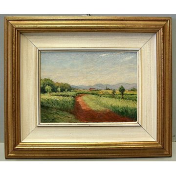 PICCOLO QUADRO OLIO Angelo Bottigelli "Campagna Bustese" PAESAGGIO CAMPESTRE