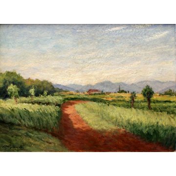 PICCOLO QUADRO OLIO Angelo Bottigelli "Campagna Bustese" PAESAGGIO CAMPESTRE