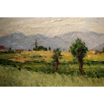 PICCOLO QUADRO OLIO Angelo Bottigelli "Campagna Bustese" PAESAGGIO CAMPESTRE