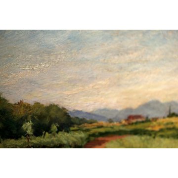 PICCOLO QUADRO OLIO Angelo Bottigelli "Campagna Bustese" PAESAGGIO CAMPESTRE