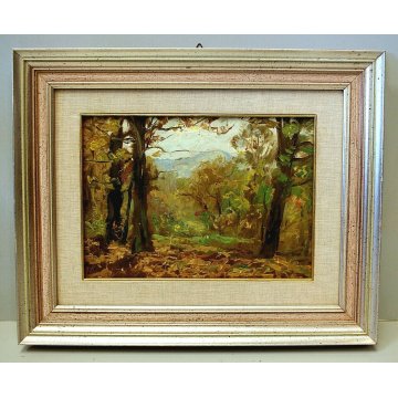 ANTICO QUADRO OLIO PAESAGGIO PARUZZARO SCORCIO MONTAGNE BOSCO Comolli (?) 1942 