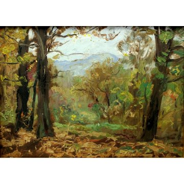 ANTICO QUADRO OLIO PAESAGGIO PARUZZARO SCORCIO MONTAGNE BOSCO Comolli (?) 1942 