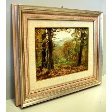 ANTICO QUADRO OLIO PAESAGGIO PARUZZARO SCORCIO MONTAGNE BOSCO Comolli (?) 1942 