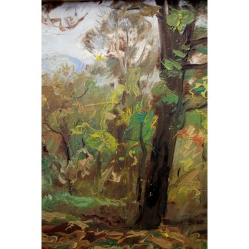 ANTICO QUADRO OLIO PAESAGGIO PARUZZARO SCORCIO MONTAGNE BOSCO Comolli (?) 1942 