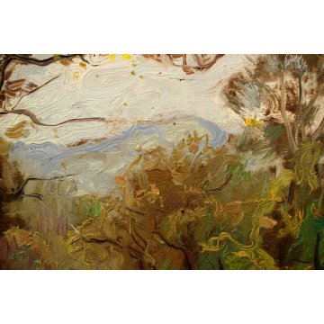 ANTICO QUADRO OLIO PAESAGGIO PARUZZARO SCORCIO MONTAGNE BOSCO Comolli (?) 1942 