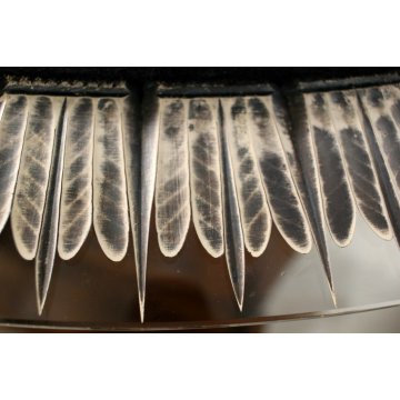 SPECCHIERA OVALE Cristal Arte WALL MIRROR SPECCHIO MOLATO DORATO MODERNISTA '60 