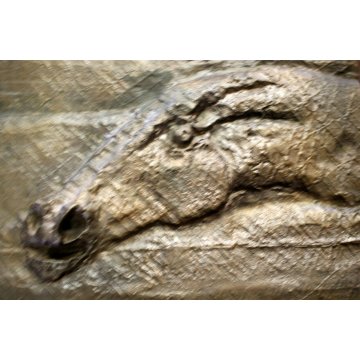 FORMELLA BASSORILIEVO BRONZO FIRMATA Bruno Cassinari CAVALLO ARTE MODERNA ITALIA