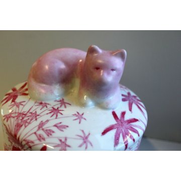 ANTICO VASO BARATTOLO PORCELLANA BIANCA DIPINTA ROSA GATTO CHINOISERIE '900