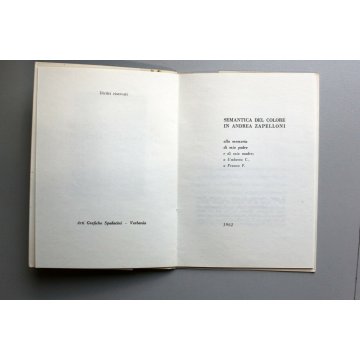 LIBRO Carlo Zapelloni Semantica del colore in Andrea Zapelloni 1962  IL CIGNO 