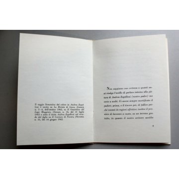 LIBRO Carlo Zapelloni Semantica del colore in Andrea Zapelloni 1962  IL CIGNO 