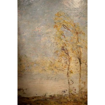 ANTICO QUADRO OLIO CARTONE Bersani ? PAESAGGIO LACUSTRE BOSCO SELVA BETULLE '900