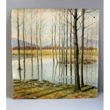 ANTICO ACQUERELLO Guido Gagliardi PAESAGGIO VEDUTA LAGONI ARONA LAGO MAGGIORE 51