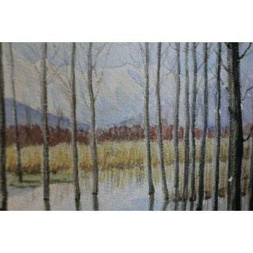 ANTICO ACQUERELLO Guido Gagliardi PAESAGGIO VEDUTA LAGONI ARONA LAGO MAGGIORE 51