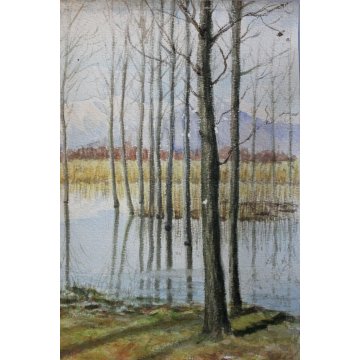 ANTICO ACQUERELLO Guido Gagliardi PAESAGGIO VEDUTA LAGONI ARONA LAGO MAGGIORE 51