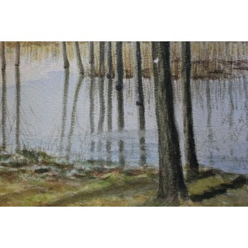 ANTICO ACQUERELLO Guido Gagliardi PAESAGGIO VEDUTA LAGONI ARONA LAGO MAGGIORE 51