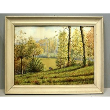 ANTICO ACQUERELLO G.Gagliardi PAESAGGIO VEDUTA COLLINA  ARONA LAGO MAGGIORE