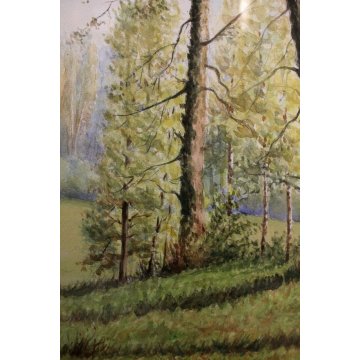 ANTICO ACQUERELLO G.Gagliardi PAESAGGIO VEDUTA COLLINA  ARONA LAGO MAGGIORE