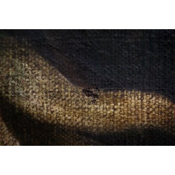 ANTICO DIPINTO OLIO TELA NATURA MORTA VASO FIORI FRUTTA FUNGHI AUTORE 600/700