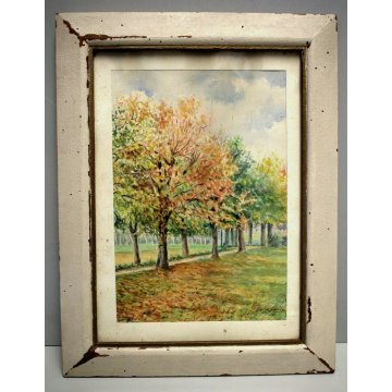 ANTICO ACQUERELLO G.Gagliardi PAESAGGIO AUTUNNALE ARONA MERCORAGO LAGO MAGGIORE 
