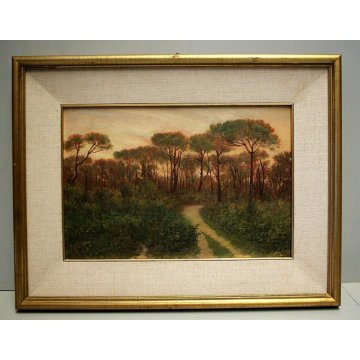 ANTICO QUADRO OLIO PAESAGGIO TOSCANO SENTIERO RADURA PINETA TRAMONTO MAREMMA 900