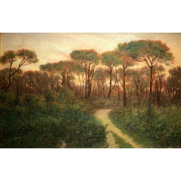 ANTICO QUADRO OLIO PAESAGGIO TOSCANO SENTIERO RADURA PINETA TRAMONTO MAREMMA 900