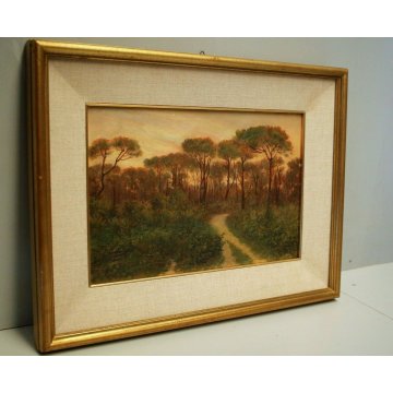 ANTICO QUADRO OLIO PAESAGGIO TOSCANO SENTIERO RADURA PINETA TRAMONTO MAREMMA 900