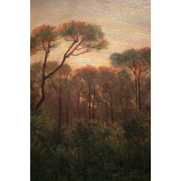 ANTICO QUADRO OLIO PAESAGGIO TOSCANO SENTIERO RADURA PINETA TRAMONTO MAREMMA 900