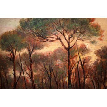 ANTICO QUADRO OLIO PAESAGGIO TOSCANO SENTIERO RADURA PINETA TRAMONTO MAREMMA 900