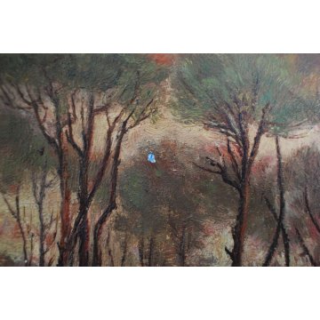 ANTICO QUADRO OLIO PAESAGGIO TOSCANO SENTIERO RADURA PINETA TRAMONTO MAREMMA 900