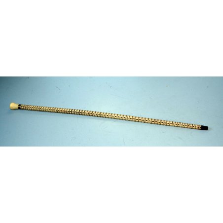 ANTICO BASTONE PASSEGGIO FUSTO VERTEBRE SQUALO MATERIALE PREGIATO 1800 EPOCA OLD