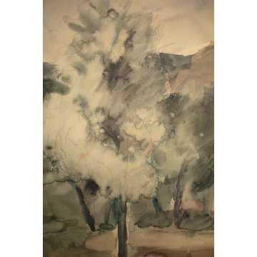 ANTICO QUADRO ACQUERELLO CARTA Enzo Morelli PAESAGGIO COLLINARE UMBRIA ASSISI 44