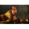 ANTICO QUADRO DIPINTO OLIO TELA SCENA VITA CONTADINA POLLAIO GALLO GALLINE '900 
