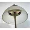 LAMPADA TERRA ATTR. SERGIO MAZZA PIANTANA DESIGN VINTAGE 1950 LAMP MID CENTURY