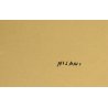 QUADRO DISEGNO ASTRATTO CHINA SU CARTA Umberto Milani ARTE INFORMALE '900