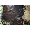 ANTICO DIPINTO AFFRESCO ENCAUSTO OLIO Bonso MESTRE ASTRATTO VENEZIA LAGUNA 1960