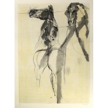 QUADRO LITOGRAFIA STAMPA FIRMATA P.S. Bruno Cassinari FIGURA CAVALLI HORSES '900