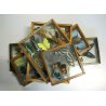 Lotto 5 TECA COLLEZIONE DI FARFALLE  BUTTERFLY VINTAGE COLLECTION WOODEN CASE