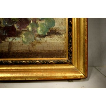 COPPIA DIPINTO OLIO TAVOLA NATURA MORTA FIORI FRUTTA PAPAVERI UVA STILL LIFE 900