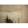 ANTICO QUADRO DISEGNO ACQUERELLO PAESAGGIO VEDUTA NATURALISTICA CORNICE '800