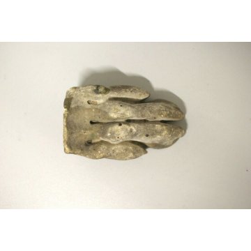 ANTICO FREGIO FRAMMENTO SCULTURA MARMO ZAMPA FERINA ARTIGLIATA PATINA FERMACARTE