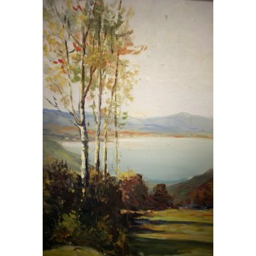 ANTICO QUADRO DIPINTO OLIO G. Bonacina PAESAGGIO MONTAGNA COLLINE Lago d'Iseo 
