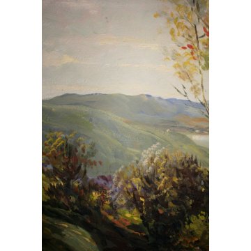 ANTICO QUADRO DIPINTO OLIO G. Bonacina PAESAGGIO MONTAGNA COLLINE Lago d'Iseo 