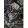 RALEIGH Royal Roadster ANTICA BICICLETTA anni 70 FRENI BACCHETTA city bike 26"