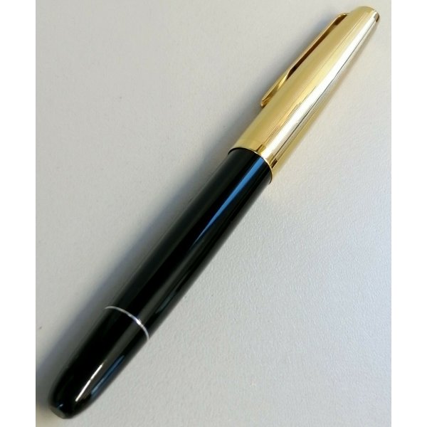 Penna Stilografica Aurora 88