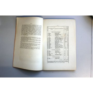 ANTICO OPUSCOLO "Il Mergozzo e il Mottarone" NOTE di Orazio Spanna ANNO 1884