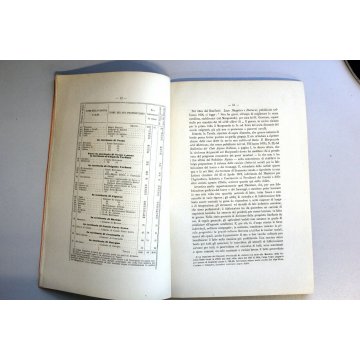 ANTICO OPUSCOLO "Il Mergozzo e il Mottarone" NOTE di Orazio Spanna ANNO 1884