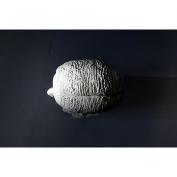 ANTICA SCULTURA TUTTOTONDO GESSO Andrea Zapelloni VOLTO TESTA BAMBINO STRESA 900