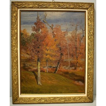 QUADRO OLIO TAVOLA C. Besana PAESAGGIO MONTANO AUTUNNO SELVA Malesco VAL VIGEZZO