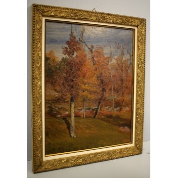 QUADRO OLIO TAVOLA C. Besana PAESAGGIO MONTANO AUTUNNO SELVA Malesco VAL VIGEZZO