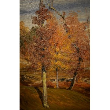 QUADRO OLIO TAVOLA C. Besana PAESAGGIO MONTANO AUTUNNO SELVA Malesco VAL VIGEZZO